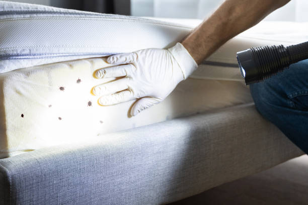 Professional Pest Control in Woodacre, CA